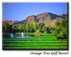 ORANGE TREE GOLF RESORT